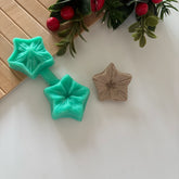 Star Flower Silicone Mold